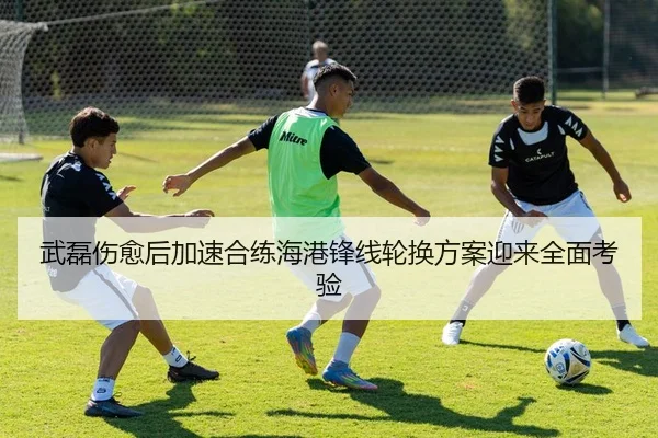 武磊伤愈后加速合练海港锋线轮换方案迎来全面考验